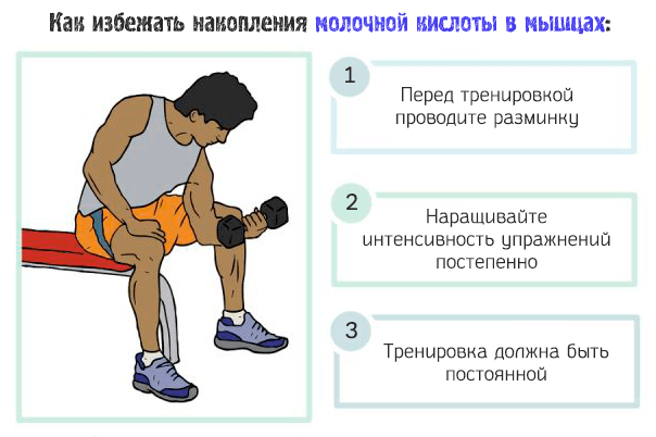 Молочная кислота после тренировки. Молочная кислота в Мышха. Молочная кислота в мышцах. Молочная кислота в мышцах после тренировки. Кислота в мышцах после нагрузки.