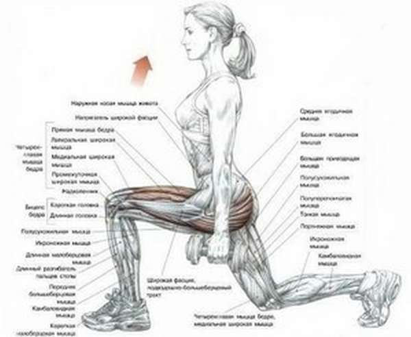 Упражнения для бедер и ягодиц