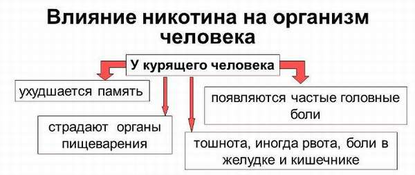 Никотин и обмен веществ. Влияние никотина на организм.