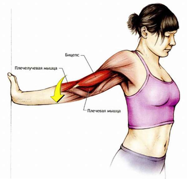 Растяжка передней дельтовидной мышцы