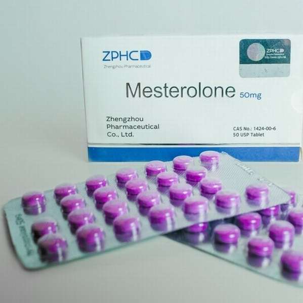 Таблетки для гормонов для мужчин. Провирон ZPHC. Mesterolone 50mg/Tab Провирон. ZPHC стероиды. Провирон антиэстроген.